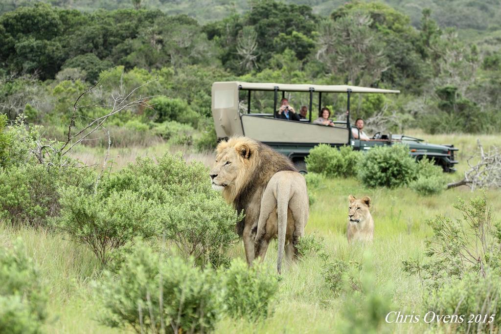 Sibuya Game Reserve And Lodge Kenton on Sea Buitenkant foto